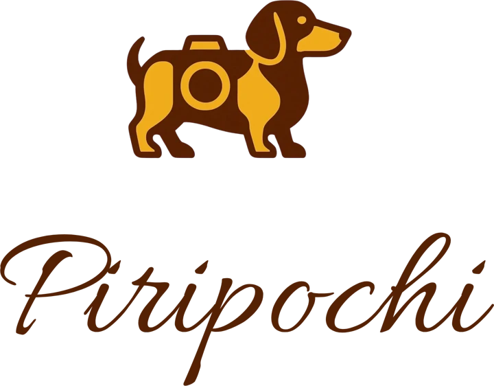 Logo de Piripochi