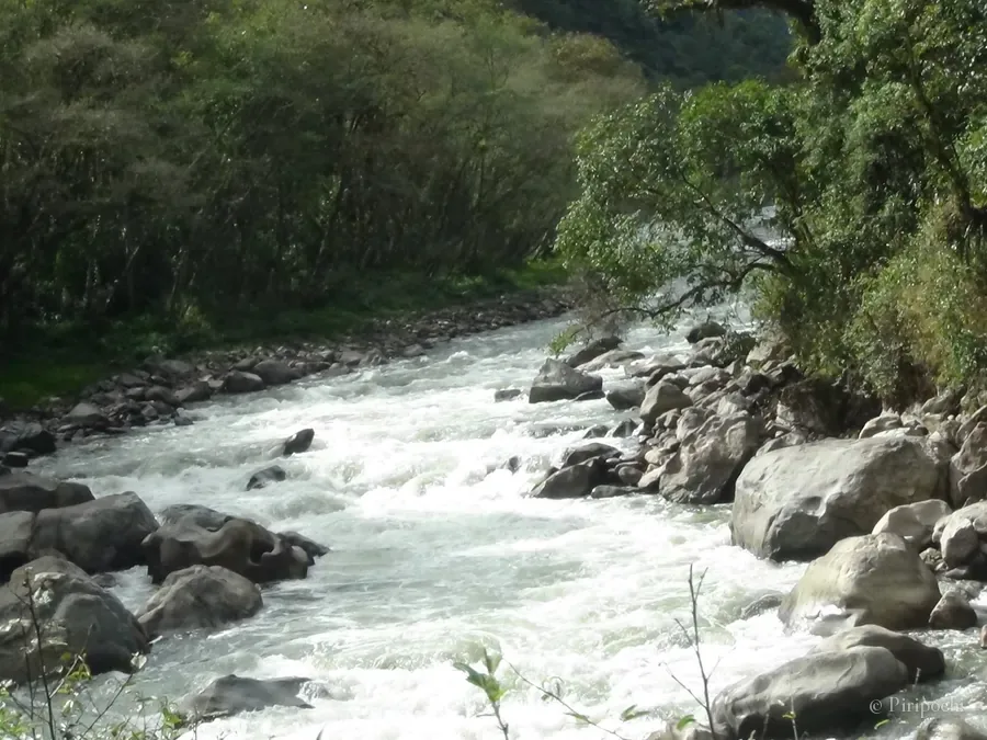 Río caudaloso entre rocas y árboles en un valle de montaña
