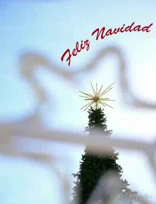 Tarjeta “Feliz Navidad” con la estrella de un árbol navideño